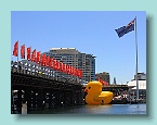 54_Dont Duck Under the Bridge
